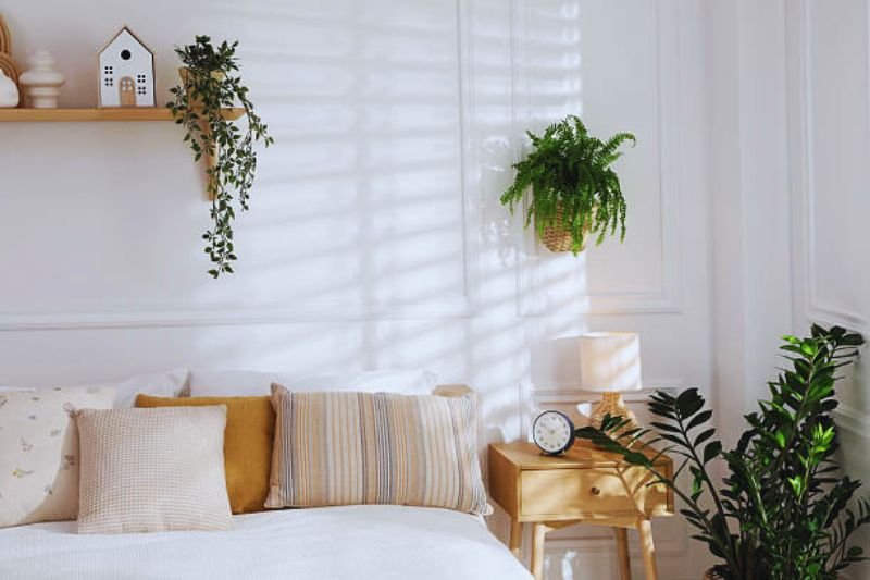 hanging plants on wall in small bedroom