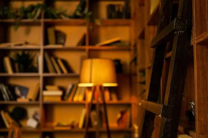leaning ladder shelf with books in small bedroom