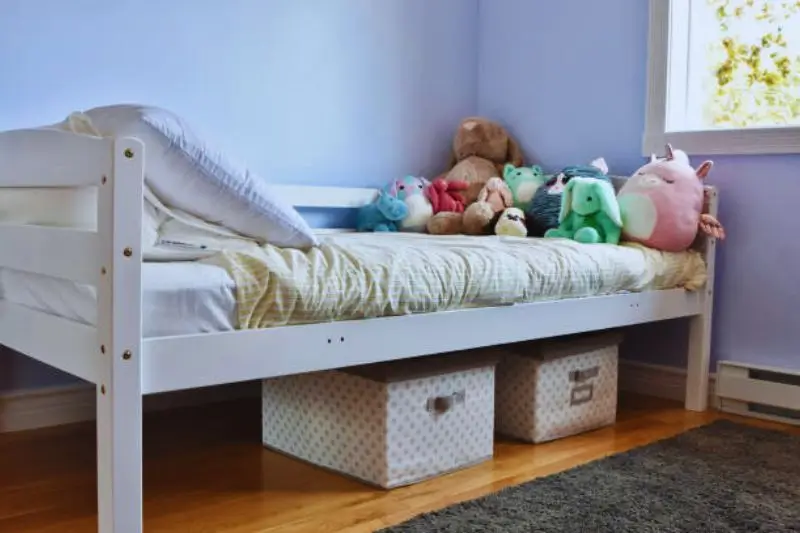 labeled pet supply bin with toys under bed