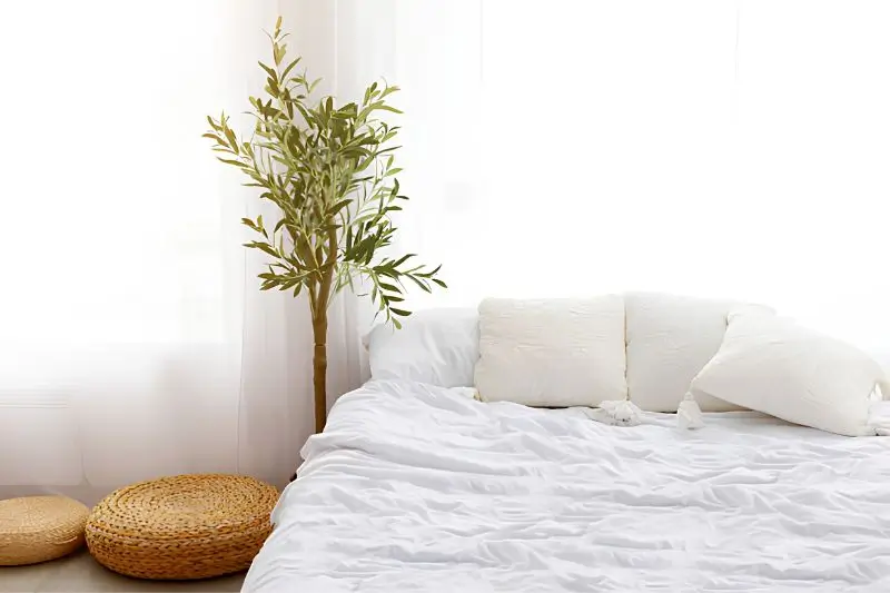 tall olive tree in woven basket in small couples bedroom